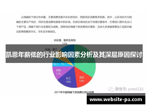 凯恩年薪低的行业影响因素分析及其深层原因探讨