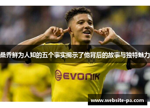 桑乔鲜为人知的五个事实揭示了他背后的故事与独特魅力