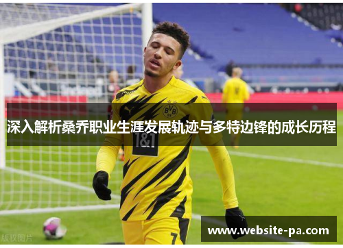 深入解析桑乔职业生涯发展轨迹与多特边锋的成长历程