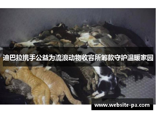 迪巴拉携手公益为流浪动物收容所筹款守护温暖家园 迪巴拉携手公益为流浪动物收容所筹款守护温暖家园